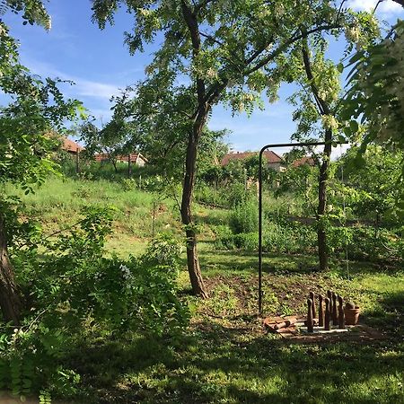 Hotel Uragya Vendeghaz Mád Zewnętrze zdjęcie